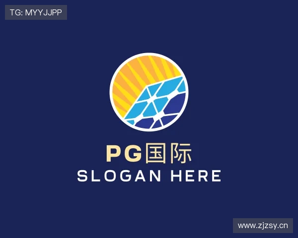 介绍PG国际